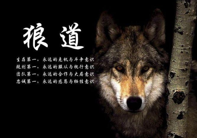 狼性团队是怎样练成的!